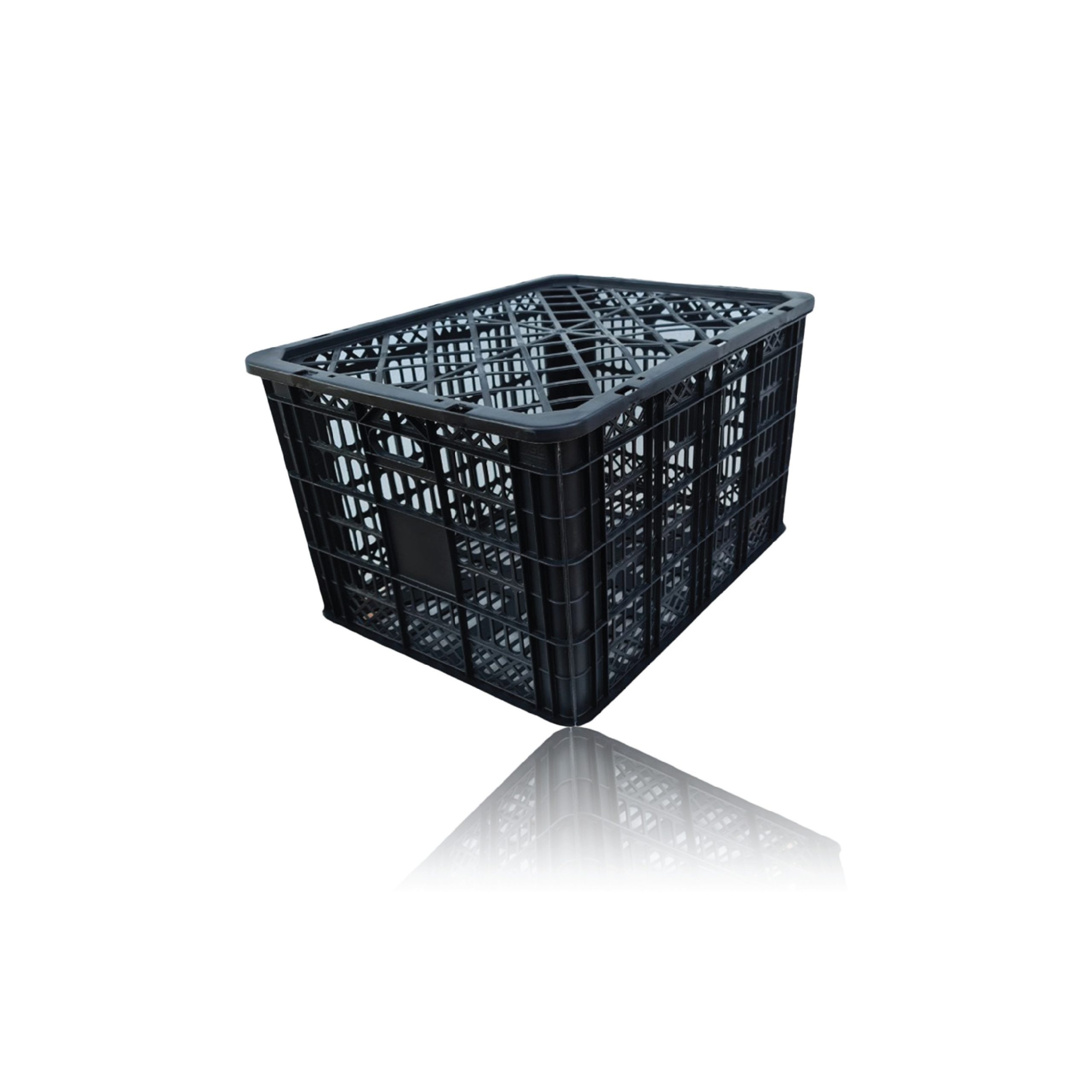 SỌT XOÀI SX - 30 ( CHuyên đựng xoài quả) - Ảnh 2